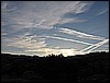 IMG_0295.JPG