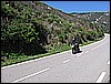 IMG_0308.JPG