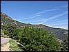 IMG_0310.JPG