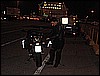 IMG_0342.JPG
