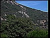 MVI_0312.jpg
