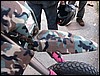 IMG_2203.JPG