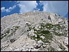 IMG_2212.JPG