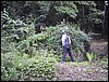 126-2674_IMG.JPG