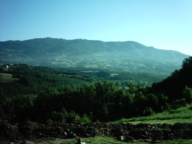 IMAG0012.jpg