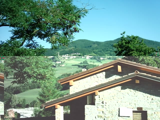 IMAG0013.jpg