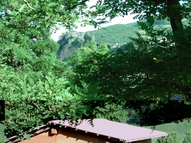 IMAG0026.jpg