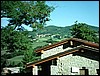 IMAG0013.jpg