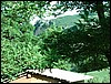IMAG0026.jpg