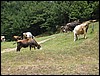 IMG_1902.JPG
