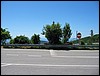 IMG_1967.JPG