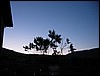 IMG_1996.JPG
