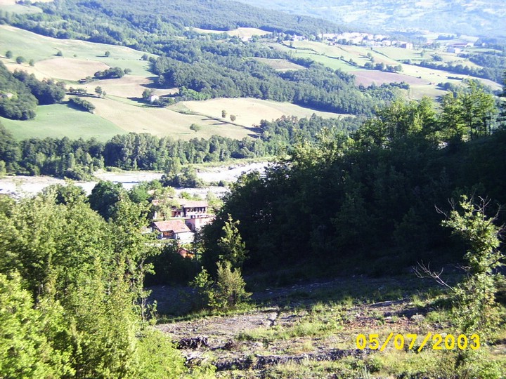 Bardi6.jpg