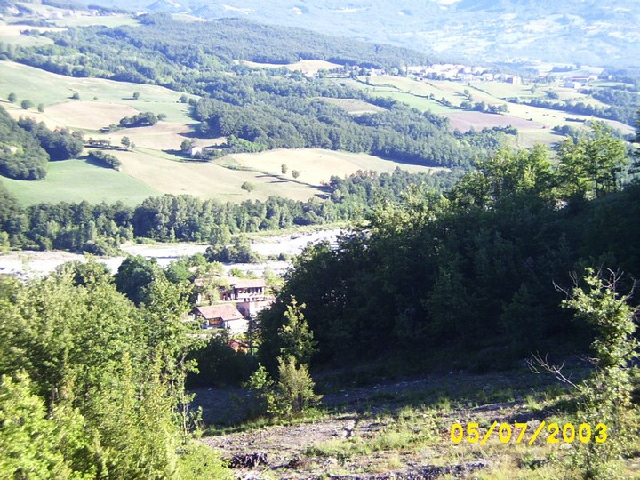 Bardi7.jpg