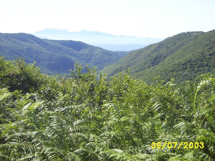 Brattello3.jpg