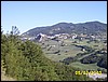 Bardi5.jpg