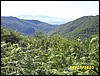 Brattello3.jpg