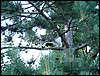 DSCF0086.JPG