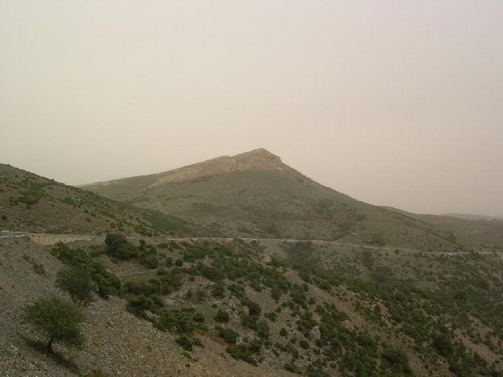 FILE0014.JPG