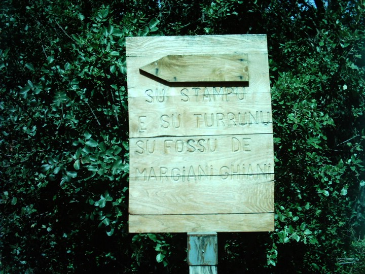 IMAG0009.JPG