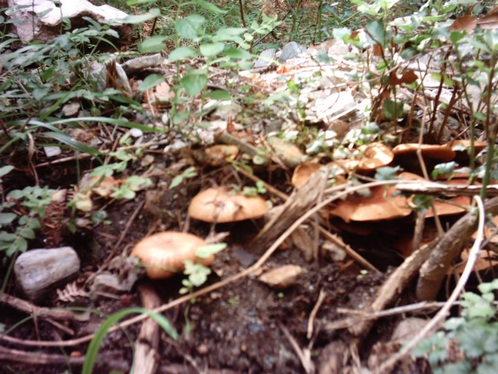 IMAG0019.JPG