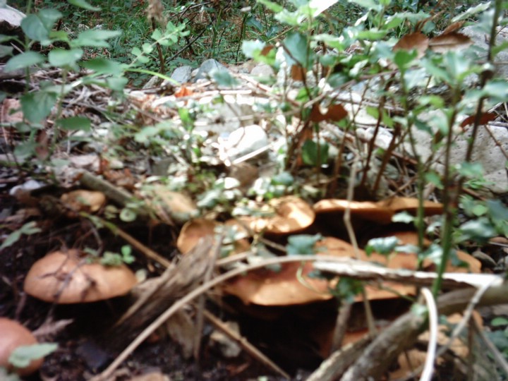 IMAG0020.JPG