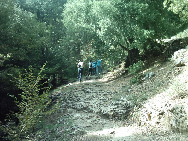 IMAG0022.JPG