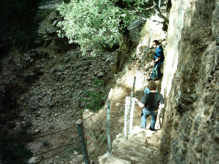 IMAG0025.JPG