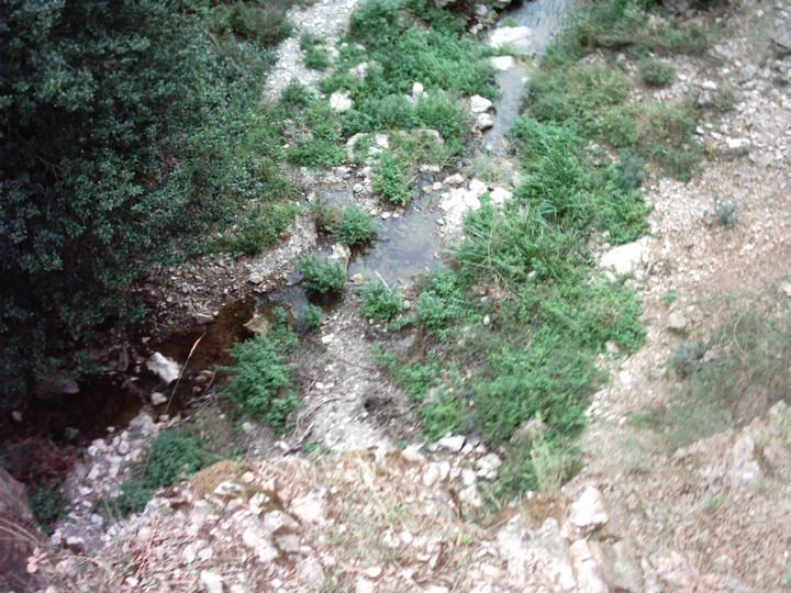 IMAG0026.JPG