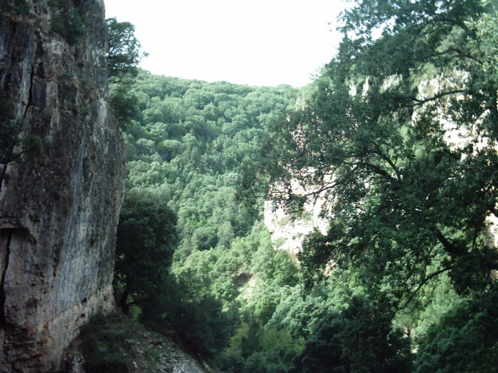 IMAG0027.JPG