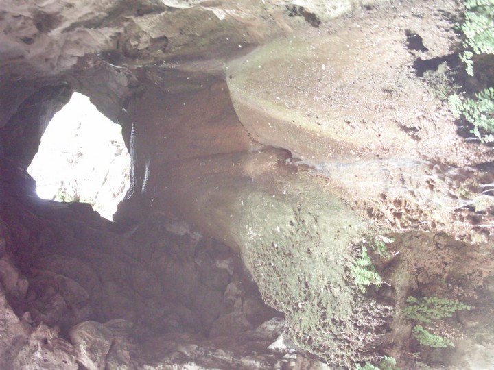 IMAG0030.JPG