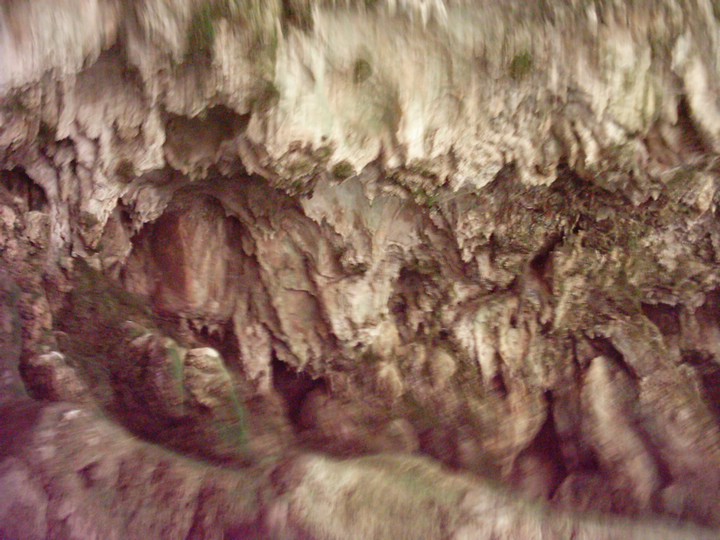 IMAG0033.JPG