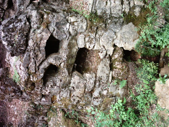 IMAG0035.JPG