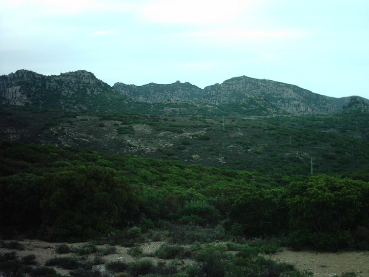 IMAG0044.JPG