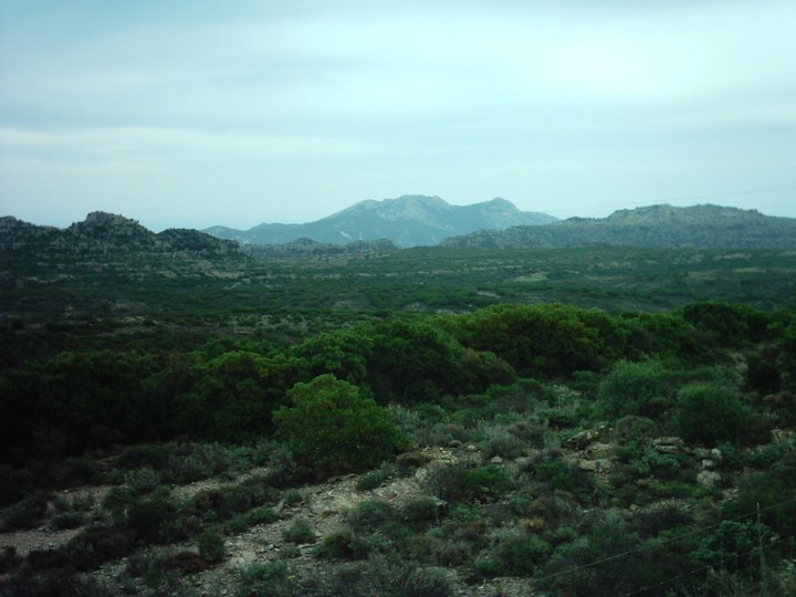 IMAG0045.JPG