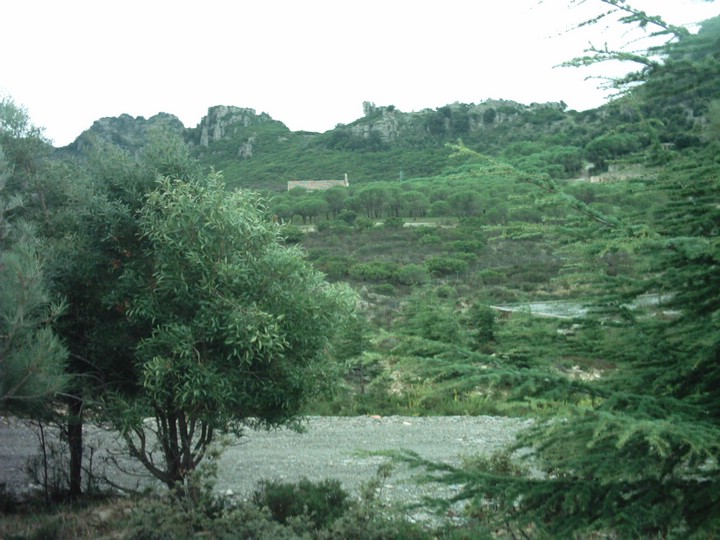 IMAG0065.JPG