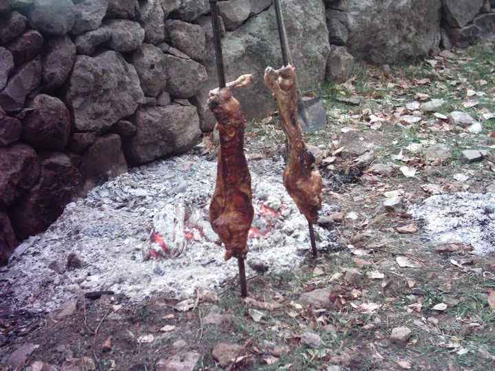 IMAG0077.JPG