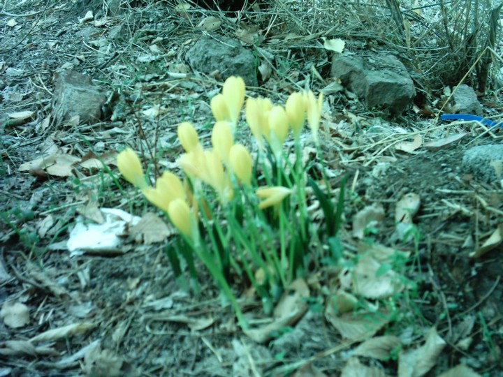 IMAG0097.JPG