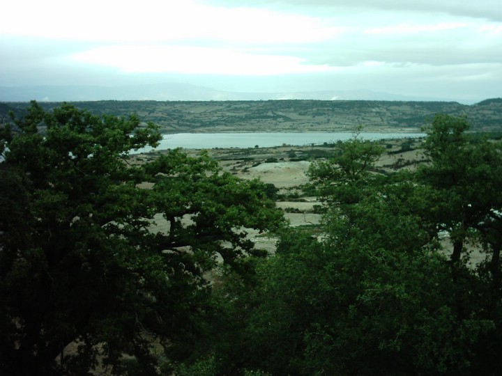 IMAG0098.JPG