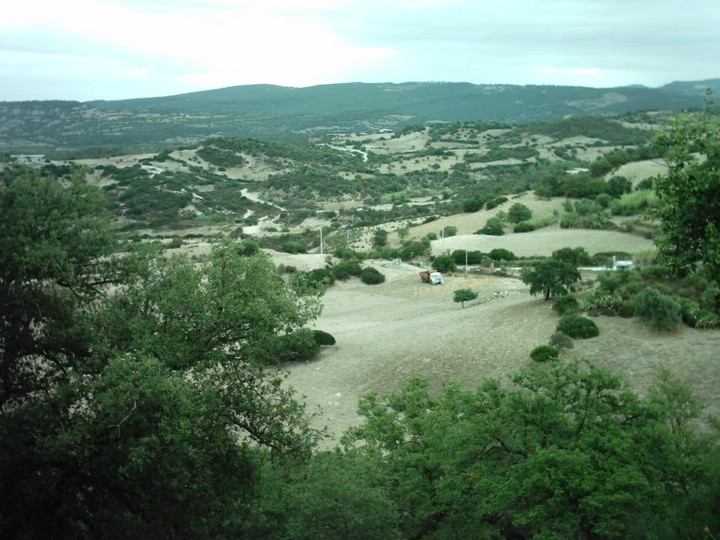 IMAG0099.JPG