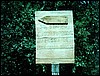 IMAG0009.JPG