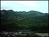 IMAG0044.JPG