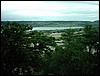 IMAG0098.JPG
