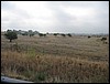 IMG_2579.JPG