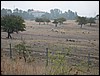 IMG_2580.JPG