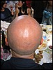 IMG_2620.JPG