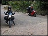 IMG_2679.JPG