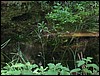 IMG_2694.JPG