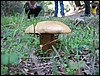 IMG_2695.JPG