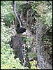 IMG_2707.JPG